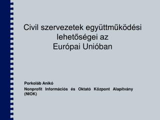 Civil szervezetek együttműködési lehetőségei az Európai Unióban