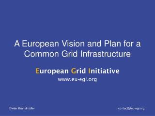 A European Vision and Plan for a Common Grid Infrastructure