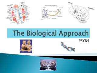 The Biological Approach