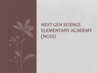 Next Gen Science Elementary Academy (NGSS)