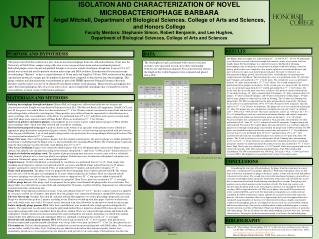 ISOLATION AND CHARACTERIZATION OF NOVEL MICROBACTERIOPHAGE BARBARA