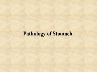 STOMACH Cell types: