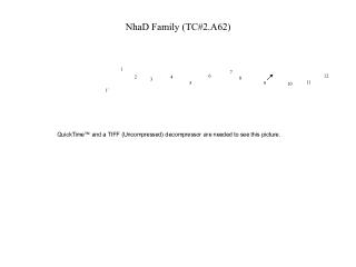 NhaD Family (TC#2.A62)