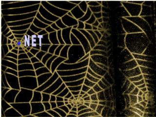 .NET TECHNOLOGY