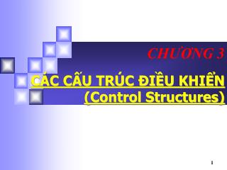 CÁC CẤU TRÚC ĐIỀU KHIỂN (Control Structures)