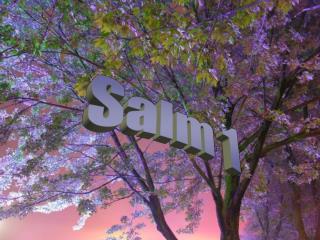 Salm 1