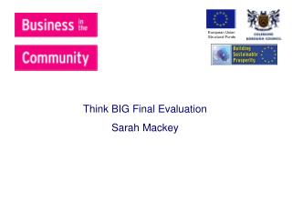 Think BIG Final Evaluation Sarah Mackey