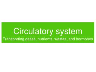 Circulatory system