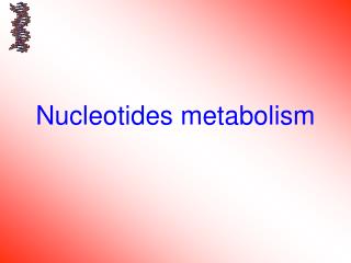 Nucleotides metabolism