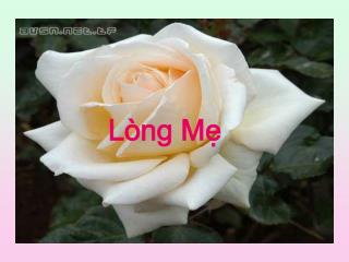 Lòng Mẹ