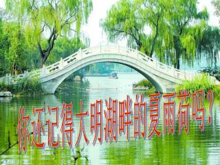 你还记得大明湖畔的夏雨荷吗？
