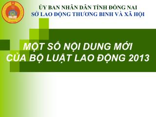 MỘT SỐ NỘI DUNG MỚI CỦA BỘ LUẬT LAO ĐỘNG 2013