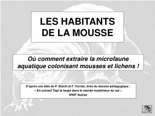 LES HABITANTS DE LA MOUSSE