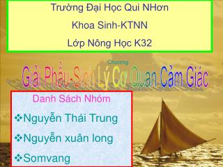Giải Phẩu-Sinh Lý Cơ Quan Cảm Giác