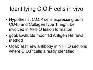 Identifying C.O.P cells in vivo