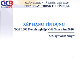 XẾP HẠNG TÍN DỤNG TOP 1000 Doanh nghiệp Việt Nam năm 2010 TÀI LIỆU GIỚI THIỆU