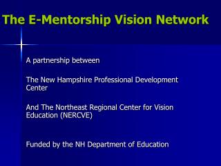 The E-Mentorship Vision Network