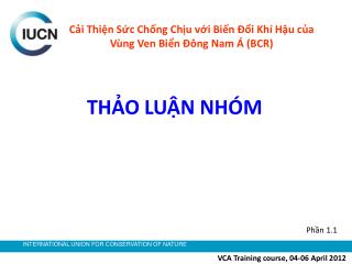 THẢO LUẬN NHÓM