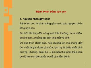 Bệnh Phân trắng lợn con 1 . Nguyên nhân gây bệnh