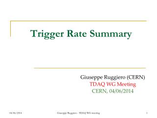 Trigger Rate Summary