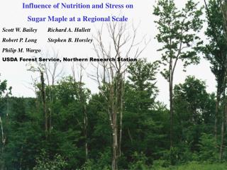 Influence of Nutrition and Stress on Sugar Maple at a Regional Scale