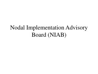 Nodal Implementation Advisory Board (NIAB)