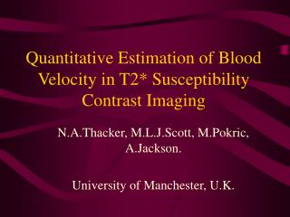 Quantitative Estimation of Blood Velocity in T2* Susceptibility Contrast Imaging