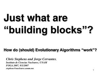 Just what are “building blocks”? How do (should) Evolutionary Algorithms “work”?