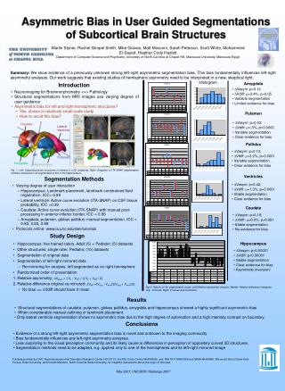 Asymmetric Bias in User Guided Segmentations of Subcortical Brain Structures