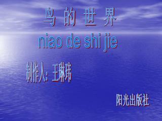 鸟 的 世 界 niao de shi jie