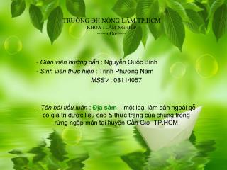 TRƯỜNG ĐH NÔNG LÂM TP.HCM KHOA : LÂM NGHIỆP ------oOo------