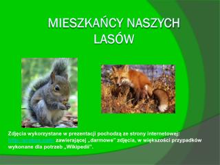 MIESZKAŃCY NASZYCH LASÓW