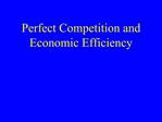 Perfect Competition and Economic Efficiency