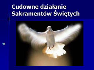 Cudowne działanie Sakramentów Świętych