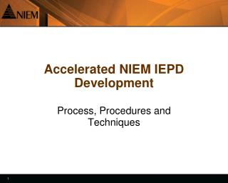 Accelerated NIEM IEPD Development