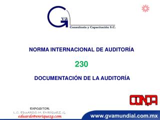 NORMA INTERNACIONAL DE AUDITORÍA 230 DOCUMENTACIÓN DE LA AUDITORÍA