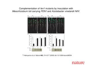 T Hakoyama et al. Nature 462 , 514 -517 (2009) doi:10.1038/nature08594