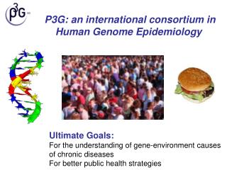 P3G: an international consortium in Human Genome Epidemiology