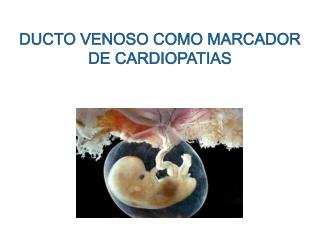 DUCTO VENOSO COMO MARCADOR DE CARDIOPATIAS