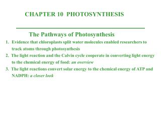 CHAPTER 10 PHOTOSYNTHESIS