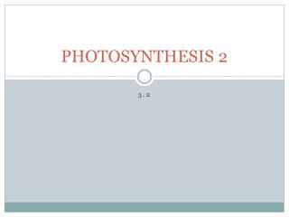 PHOTOSYNTHESIS 2