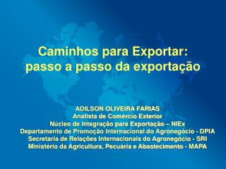 Caminhos para Exportar: passo a passo da exportação