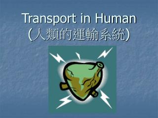 Transport in Human ( 人類的運輸系統 )