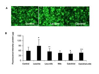 Fluorescence Intensity/ protein ( μ g)