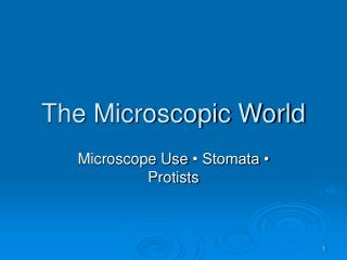 The Microscopic World