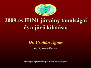 2009-es H1N1 járvány tanulságai és a jövő kilátásai