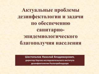 Шестопалов Николай Владимирович , директор Научно-исследовательского института