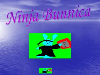 Ninja Bunnica