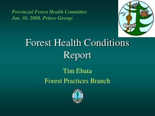 Forest Health Conditions Report