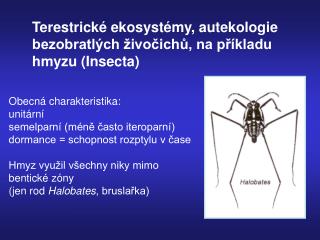 Terestrické ekosystémy, autekologie bezobratlých živočichů, na příkladu hmyzu (Insecta)